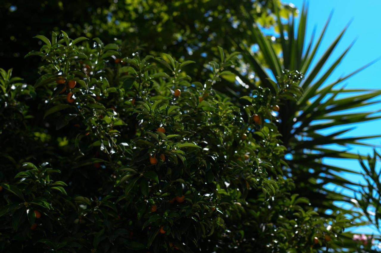 B&B La Fontanella San Benedetto del Tronto Buitenkant foto