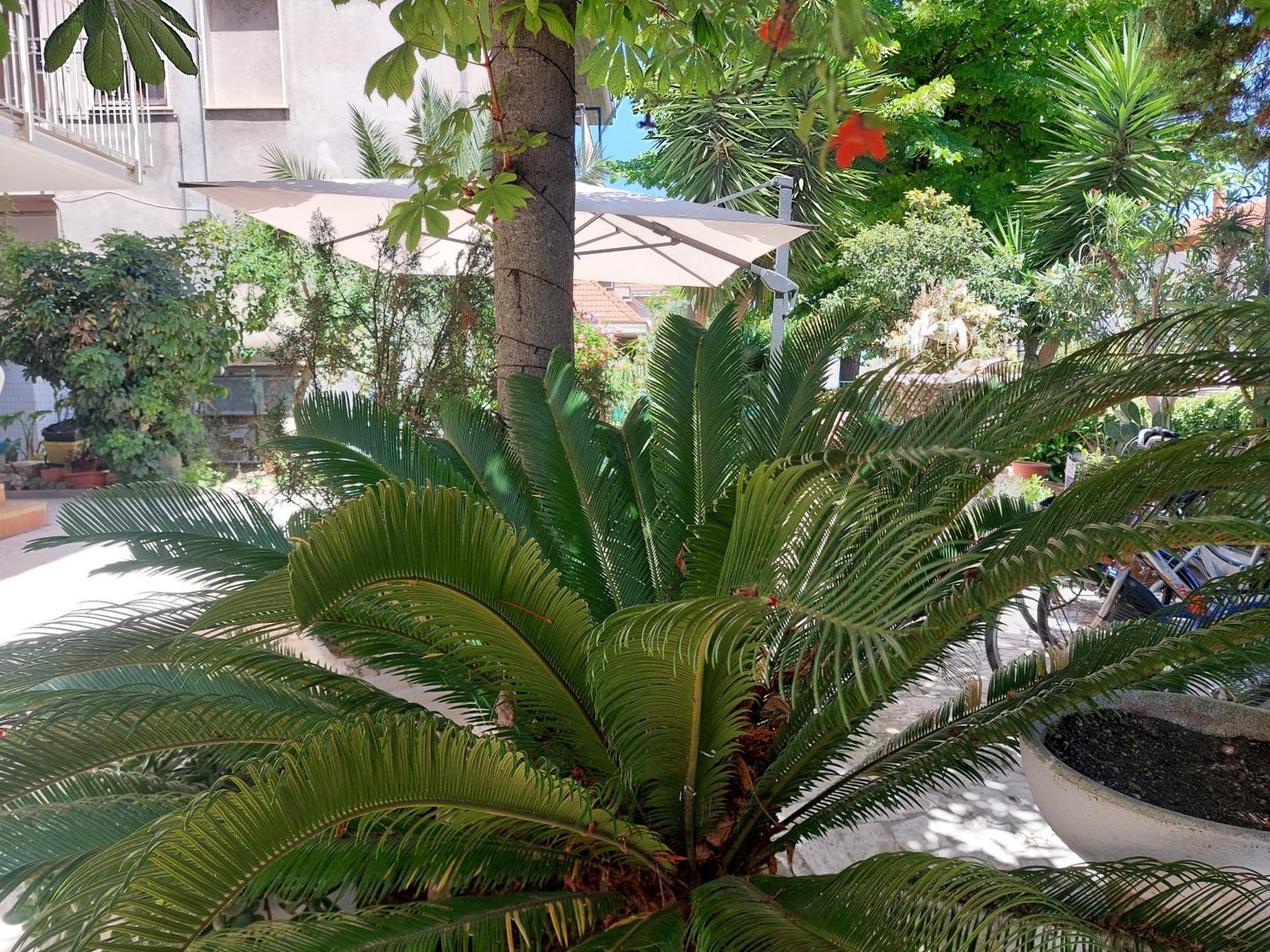 B&B La Fontanella San Benedetto del Tronto Buitenkant foto
